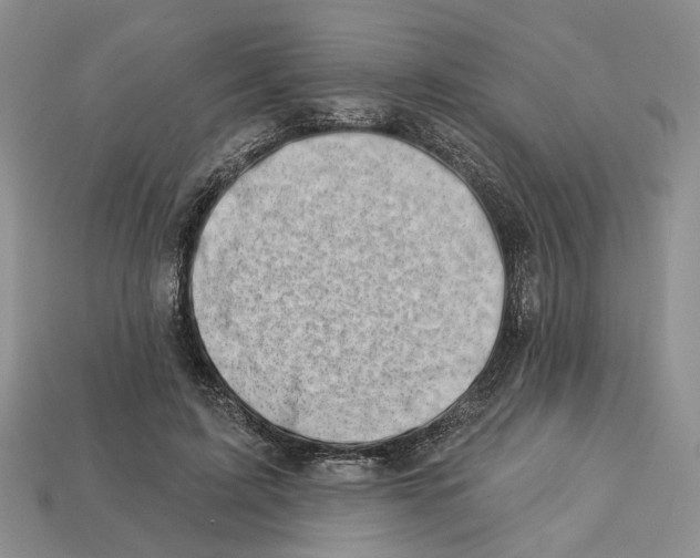 X0000113000595200909241303