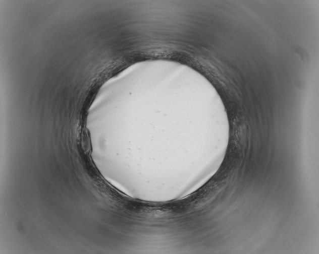 X0000113000597200909241303