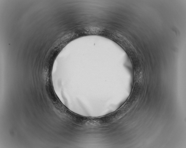 X0000113000599200909241303