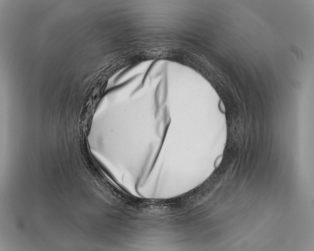 X0000113000601200909241303