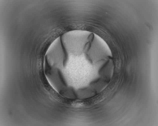 X0000113000602200909241303