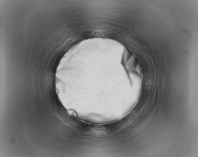 X0000113000603200909241303