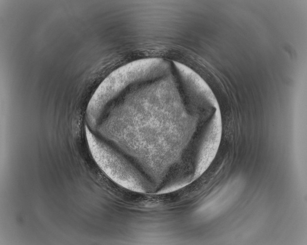 X0000113000604200909241303