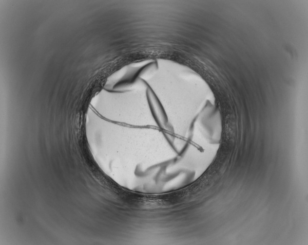 X0000113000605200909241303