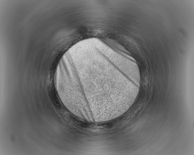 X0000113000607200909241303