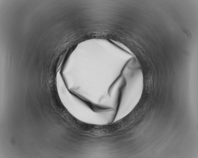 X0000113000608200909241303