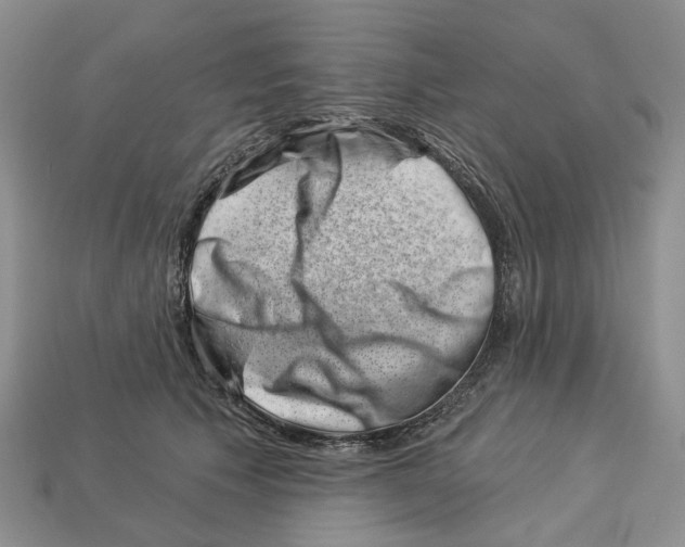 X0000113000609200909241303