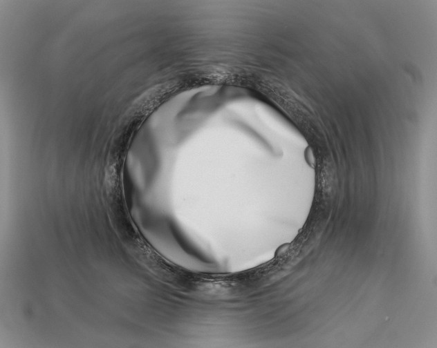 X0000113000611200909241303