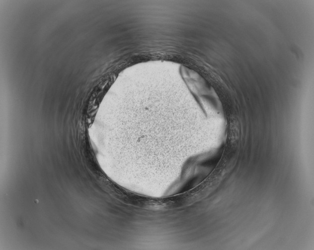 X0000113000613200909241303