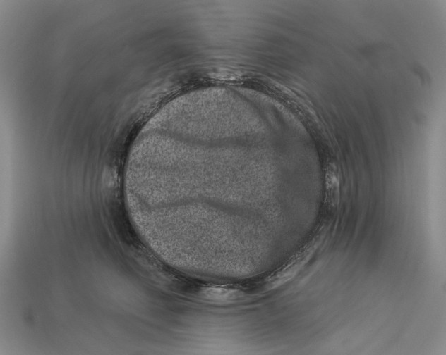 X0000113000614200909241303