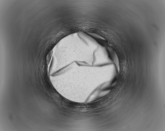 X0000113000615200909241302