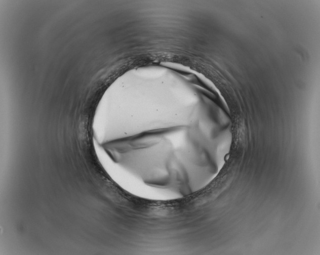 X0000113000616200909241302