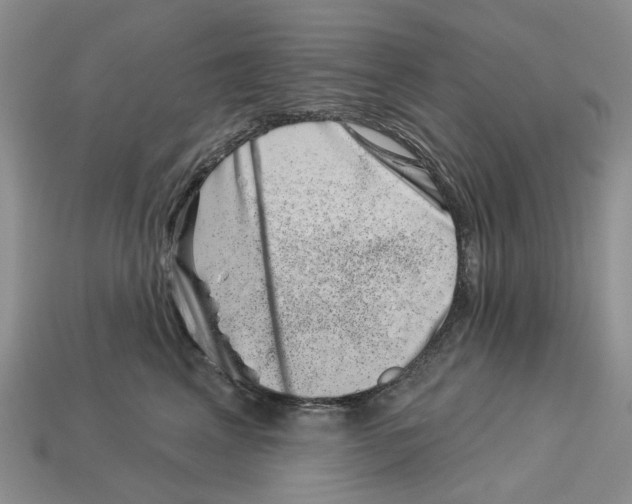 X0000113000617200909241302