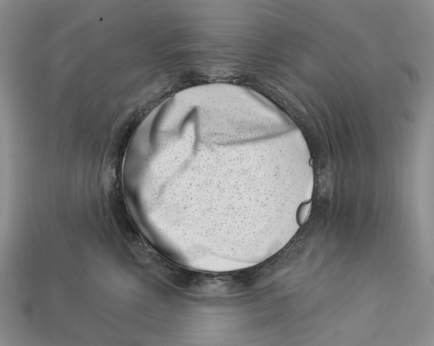 X0000113000618200909241302