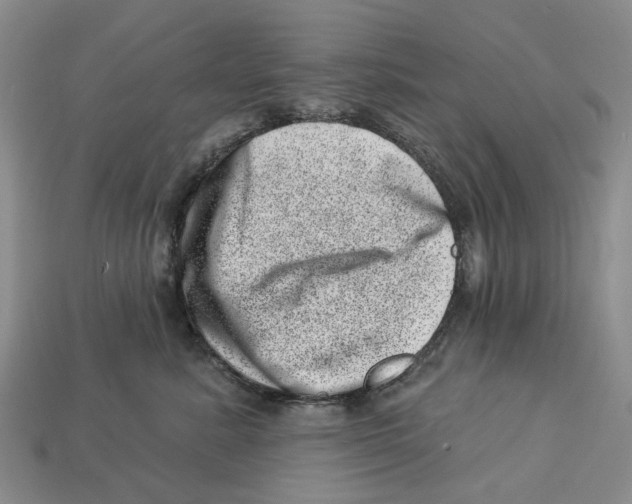 X0000113000619200909241302