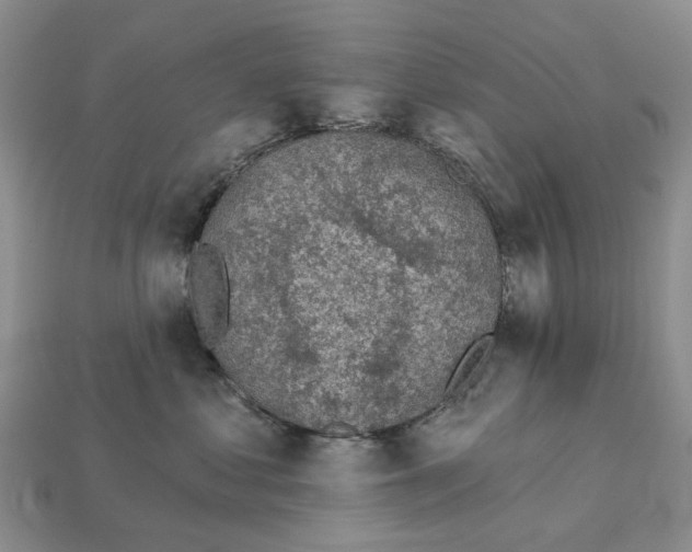 X0000113000621200909241302