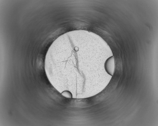 X0000113000622200909241302