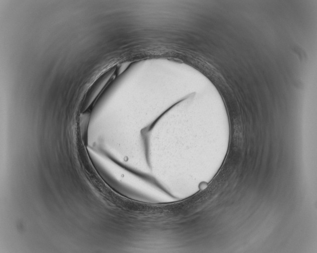 X0000113000626200909241302