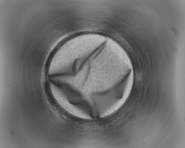 X0000113000628200909241302