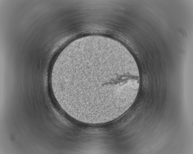 X0000113000629200909241302