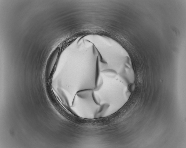 X0000113000630200909241302