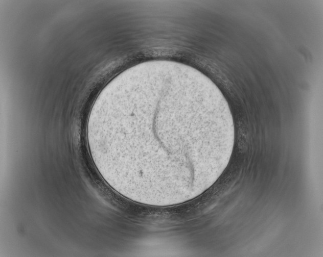 X0000113000631200909241302