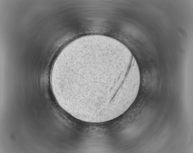 X0000113000632200909241302