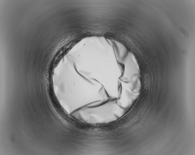 X0000113000634200909241302