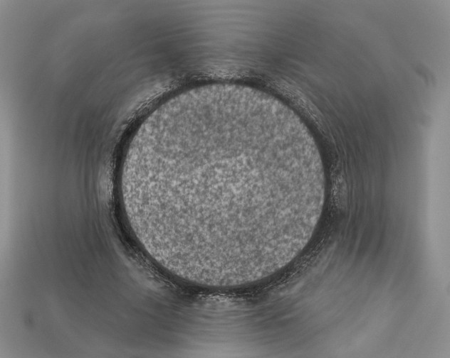 X0000113000635200909241302