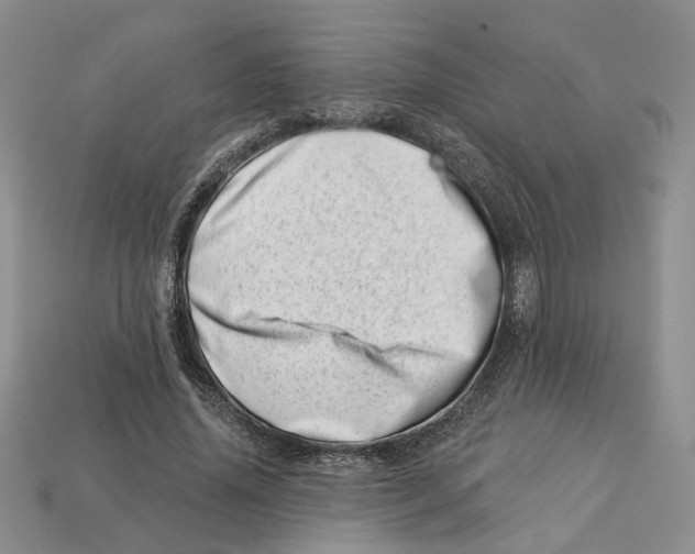 X0000113000636200909241302