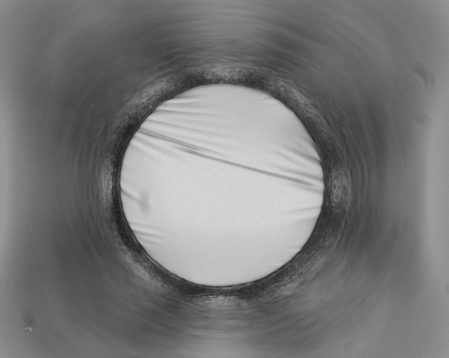 X0000113000637200909241302