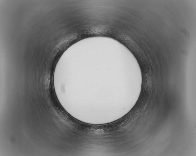 X0000113000640200909241302