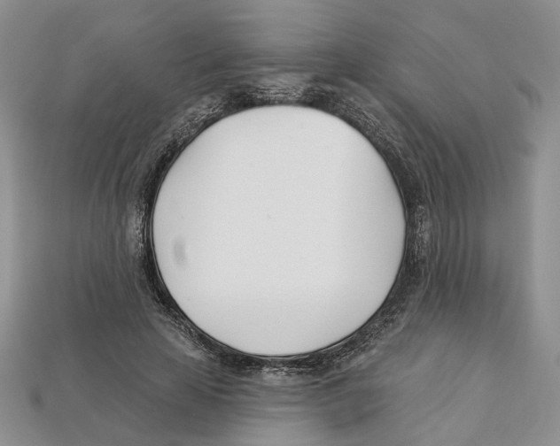 X0000113000641200909241302