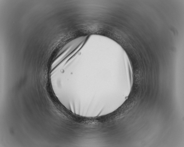 X0000113000642200909241302