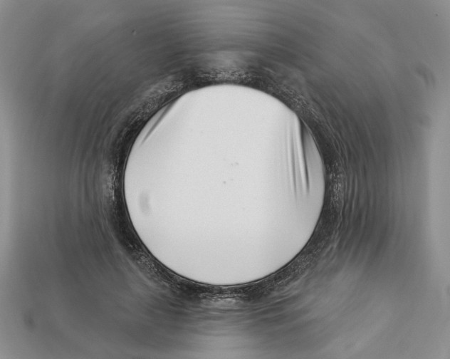 X0000113000643200909241302