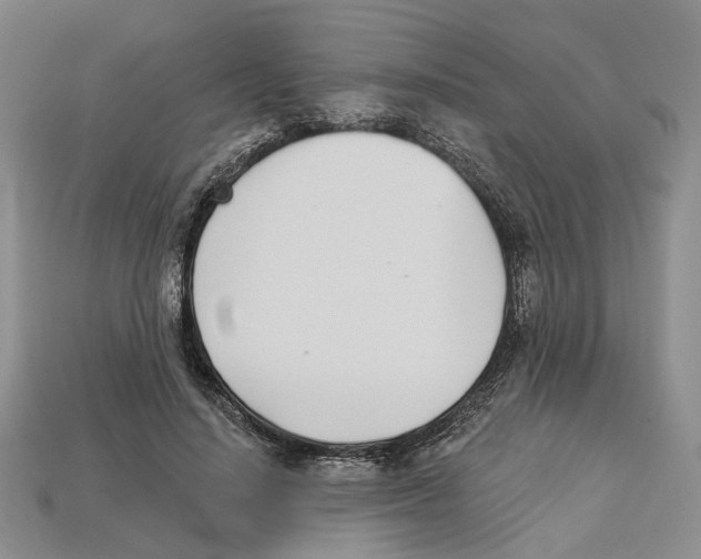 X0000113000644200909241302