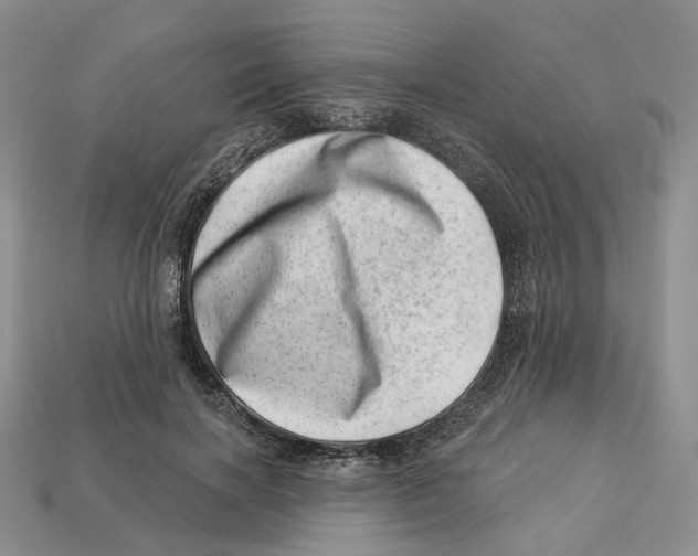 X0000113000646200909241302