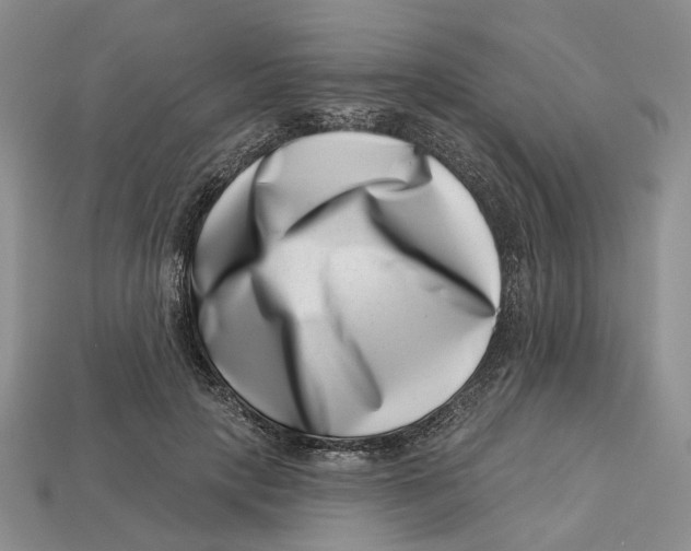 X0000113000649200909241302