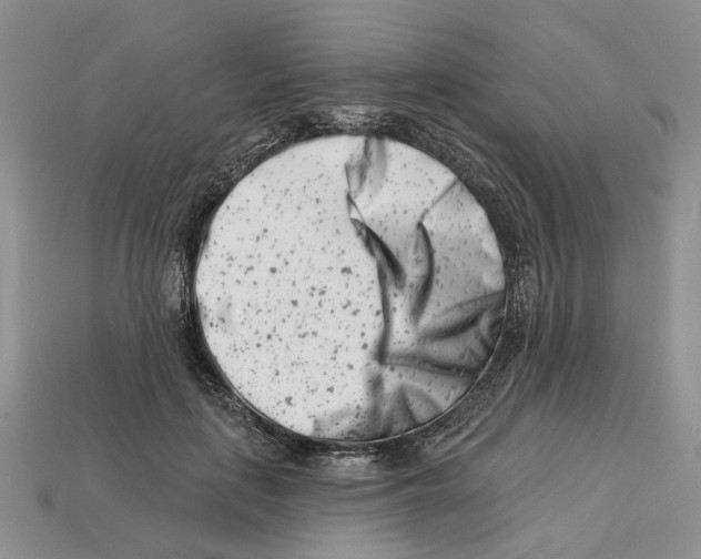 X0000113000651200909241302