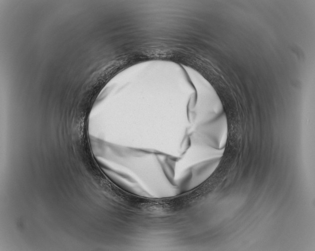 X0000113000652200909241302