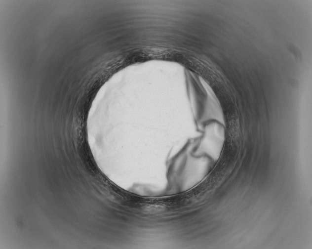 X0000113000653200909241302