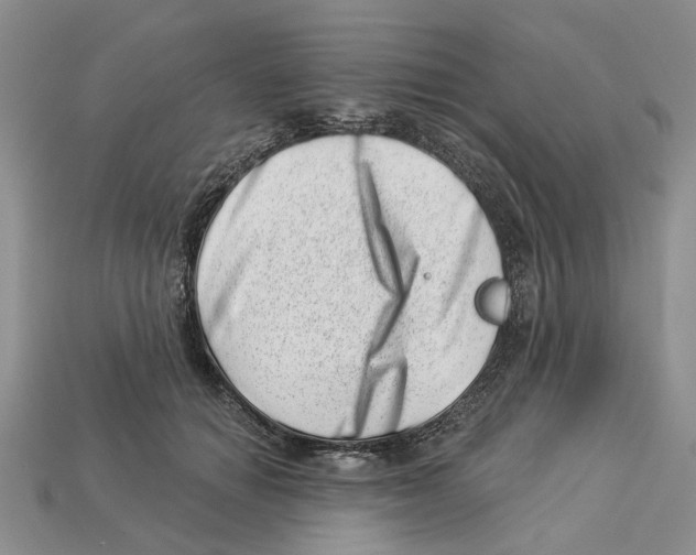 X0000113000654200909241302