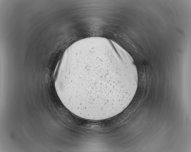 X0000113000655200909241302