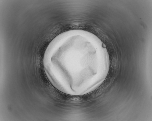 X0000113000659200909241302