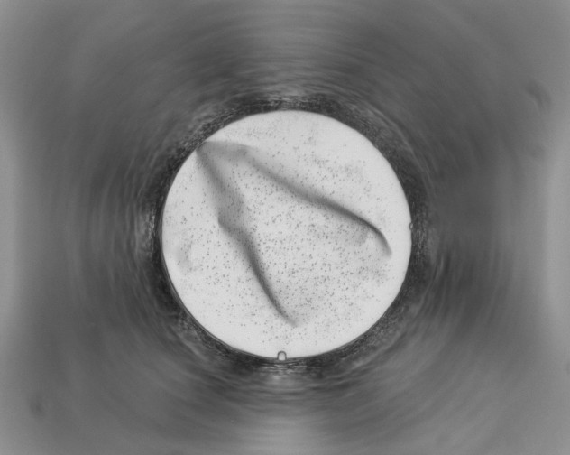 X0000113000660200909241302