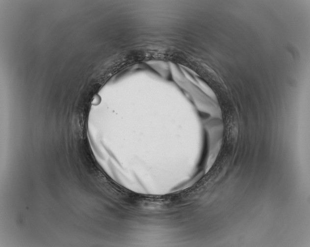 X0000113000661200909241302