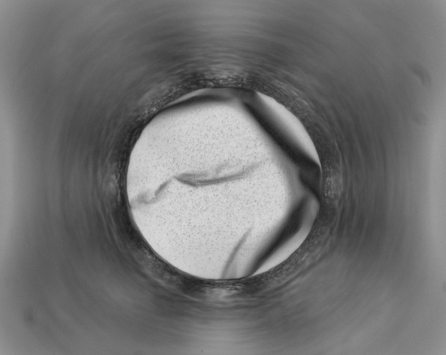 X0000113000662200909241302