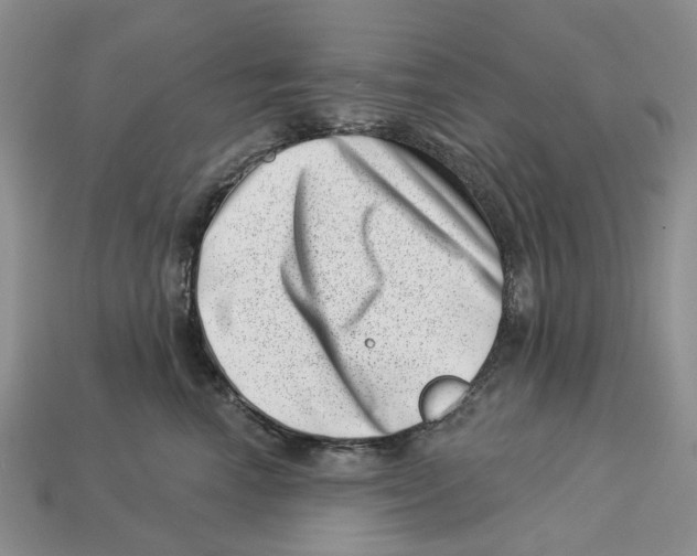 X0000113000666200909241302