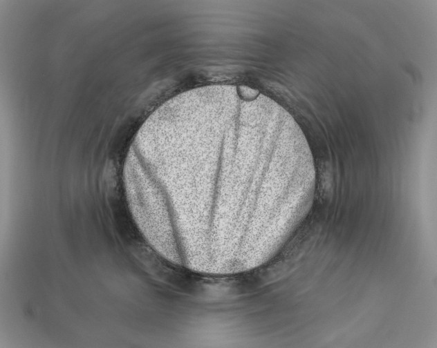 X0000113000667200909241302