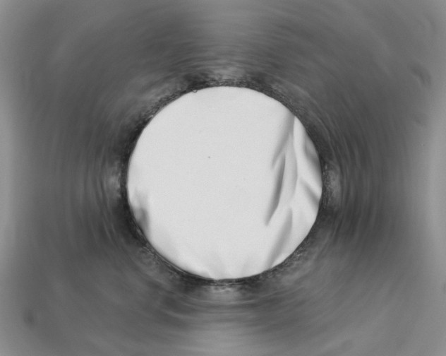 X0000113000668200909241302